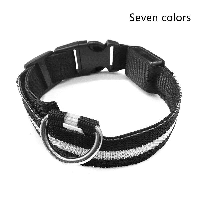 LED Leuchtendes Halsband