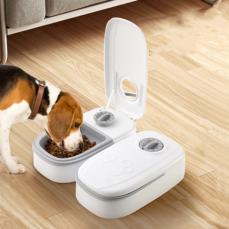 Automatic feeding bowl