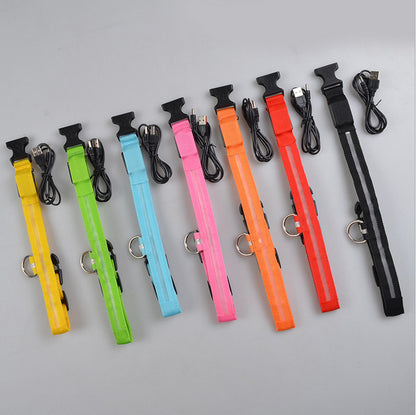 LED Leuchtendes Halsband