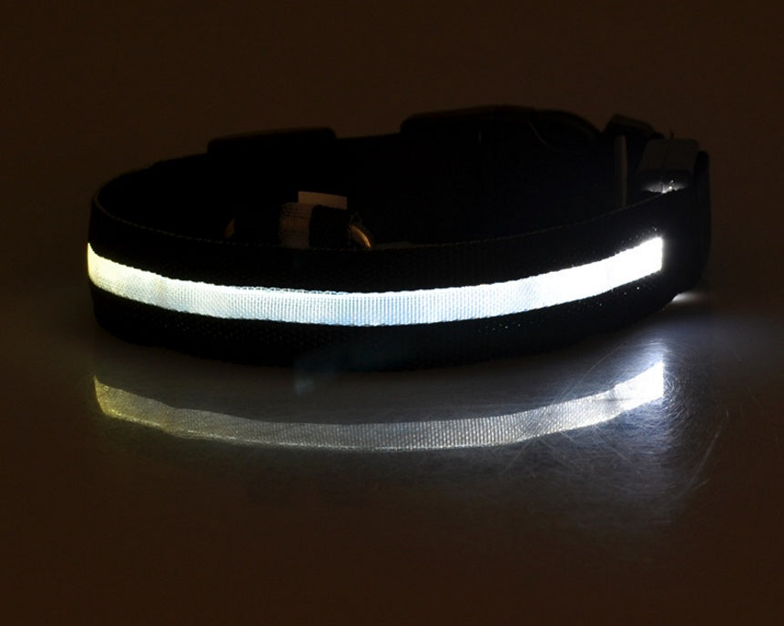 LED Leuchtendes Halsband