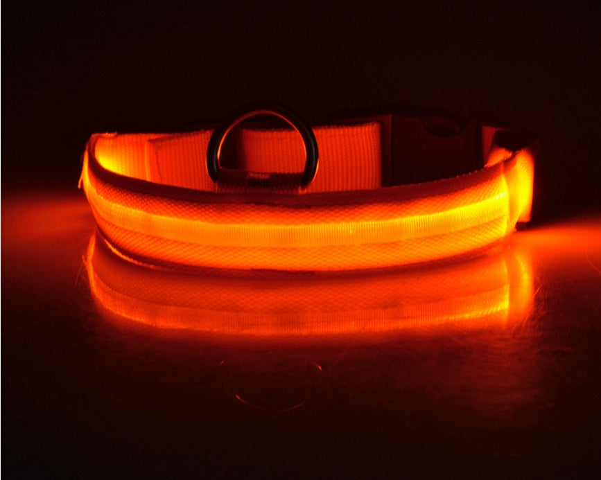 LED Leuchtendes Halsband