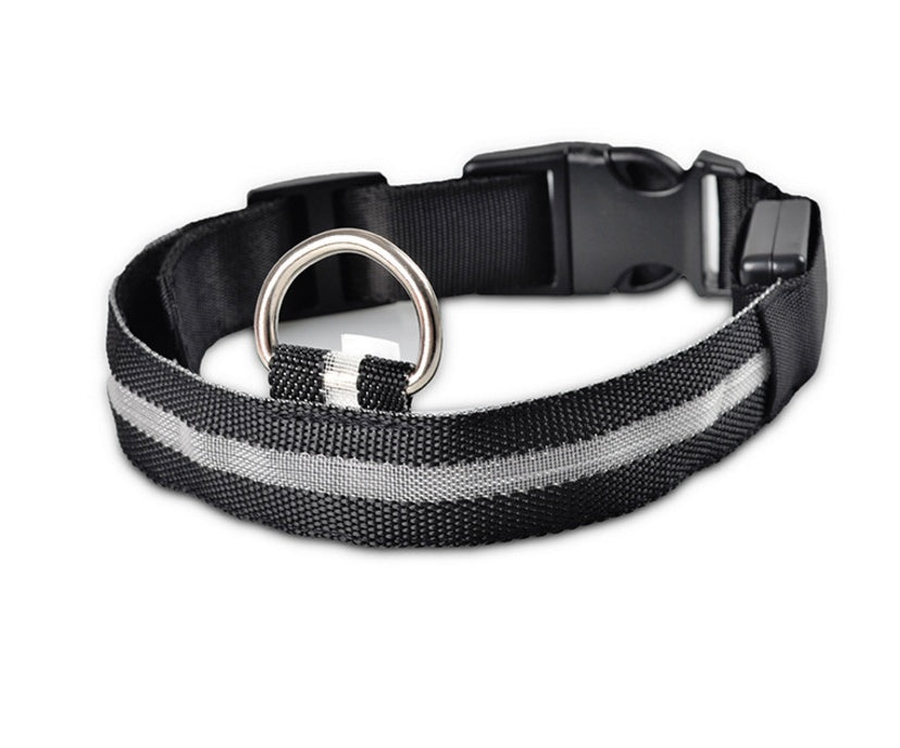 LED Leuchtendes Halsband