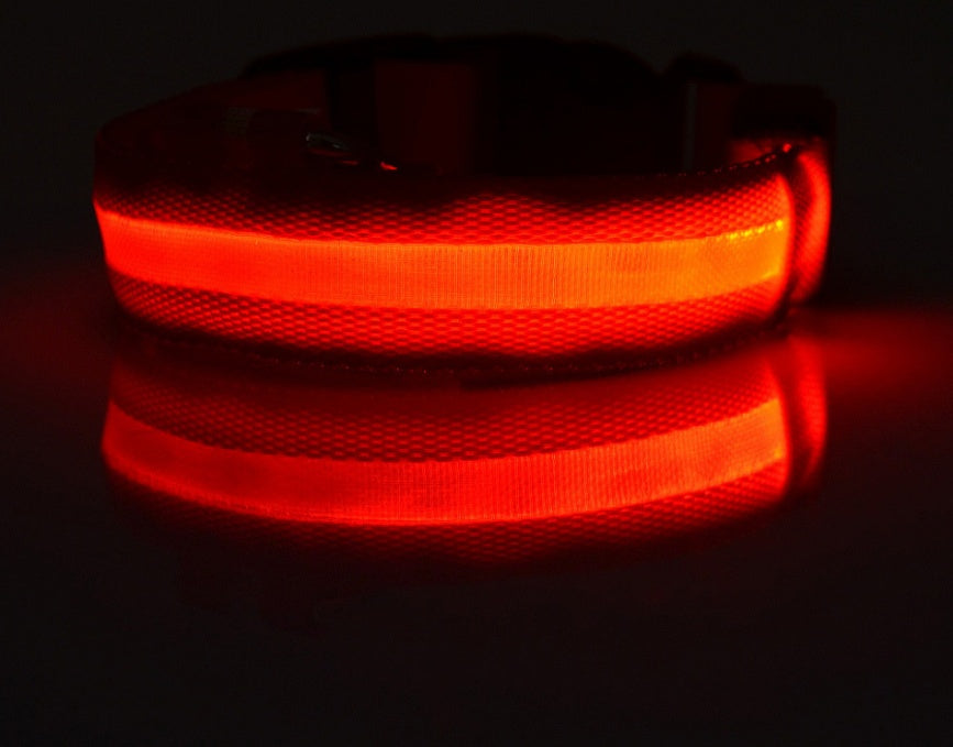 LED Leuchtendes Halsband