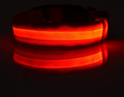 LED Leuchtendes Halsband