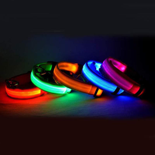 LED Leuchtendes Halsband