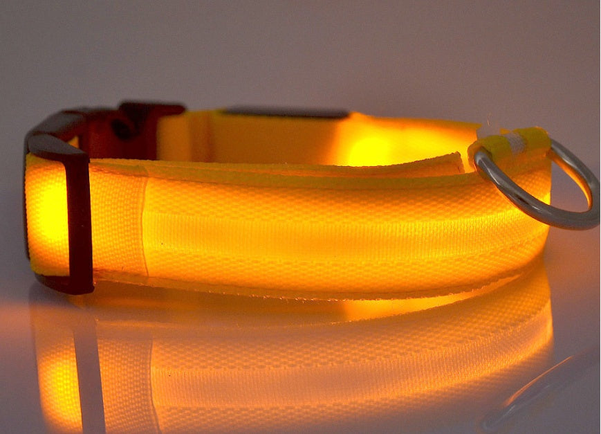LED Leuchtendes Halsband