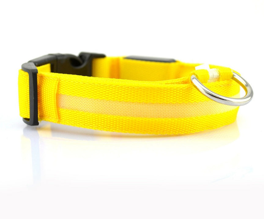 LED Leuchtendes Halsband