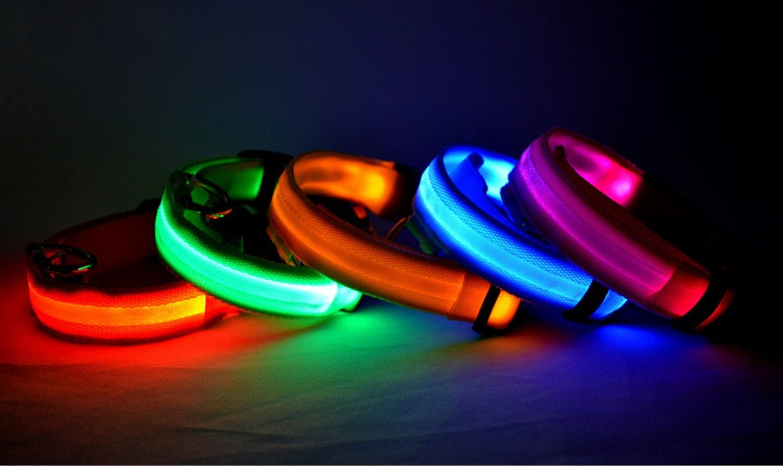 LED Leuchtendes Halsband