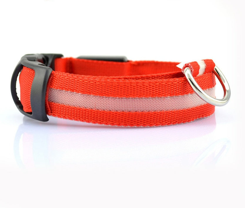 LED Leuchtendes Halsband