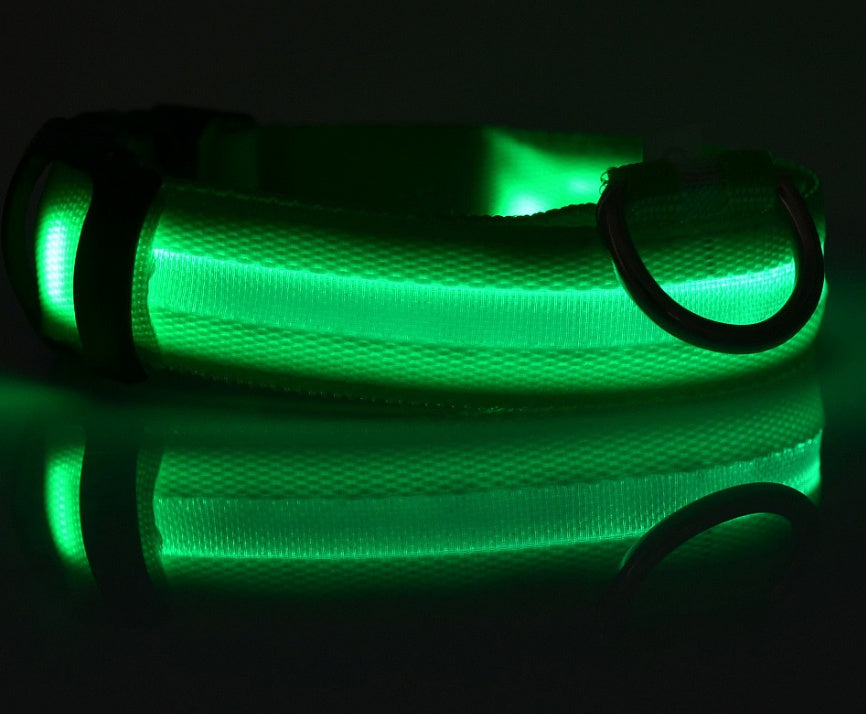 LED Leuchtendes Halsband