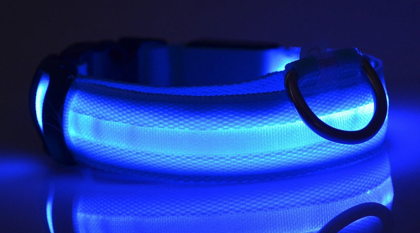 LED Leuchtendes Halsband